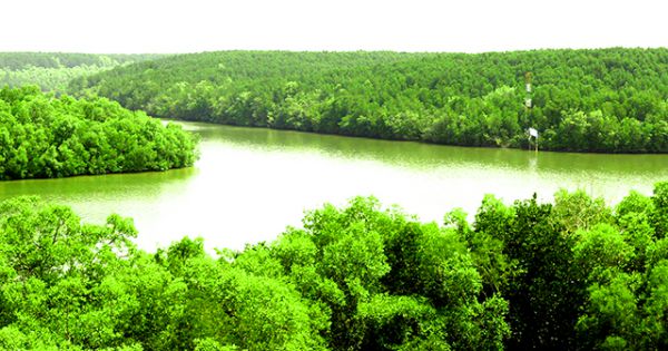 Khu du lịch sinh thái Dần Xây, Cần Giờ hoạt động không đúng quy định