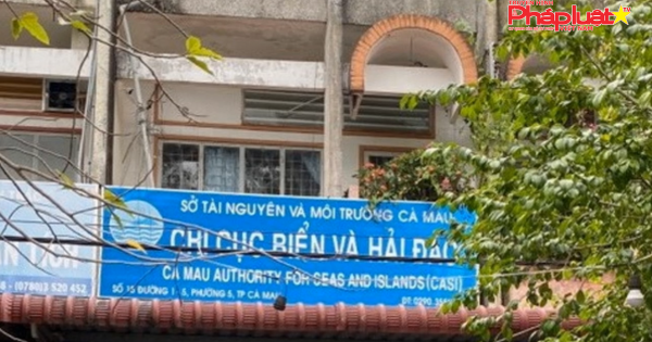 Buộc thôi việc nữ phó phòng từ nước ngoài gửi đơn về nước xin nghỉ việc