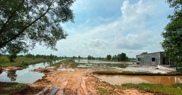 Quảng Bình: Giao 54ha đất trái thẩm quyền, yêu cầu huyện xử lý triệt để