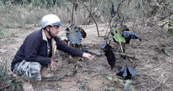 Quảng Trị: Vụ tràn 200 lít dầu thải ra sông Hiếu, xử phạt 7,5 triệu đồng