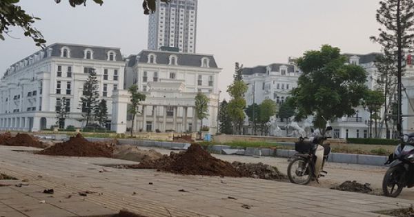 TP.HCM thanh tra toàn diện quản lý đất đai, trật tự xây dựng ở H.Bình Chánh