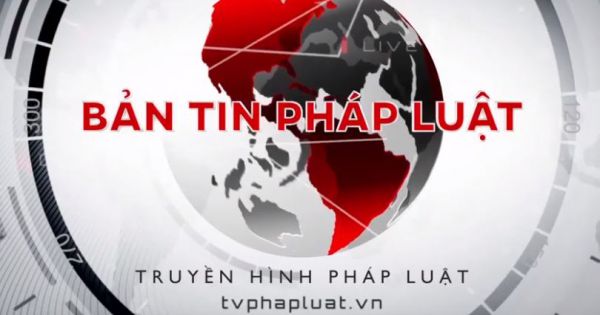 Phiên tòa Phúc thẩm ly hôn của vợ chồng Trung Nguyên: Phát hiện bằng chứng sai phạm trong quá trình tố tụng án sơ thẩm?