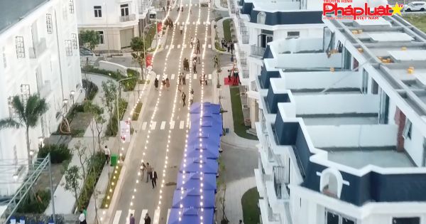 Thắng Lợi Group đạt doanh thu 650 tỷ trong năm 2019