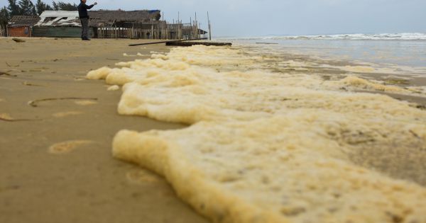 Nước biển gần khu kinh tế Dung Quất đổi màu đen như cà phê