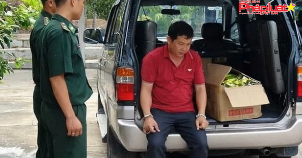 Bộ đội Biên phòng triệt phá hơn 900 vụ án, thu giữ gần 3 tấn ma tuý trong năm 2019