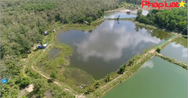 Đồng Nai: Công an xã Ngọc Định có lạm quyền trong vụ việc làm chết hàng tấn cá của người dân?