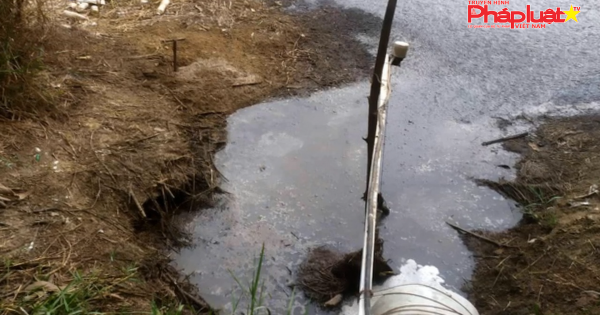 Đề nghị đóng cửa trại heo xả thải ra đầu nguồn nhà máy nước