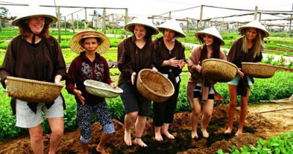 Hội An sẽ chào đón vị khách quốc tế đầu tiên tới tham quan thành phố tại Làng rau Trà Quế