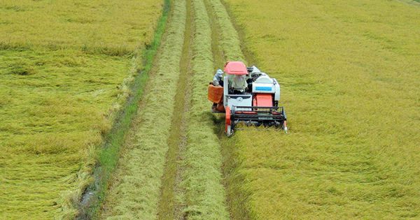 Thủ tướng trước đối thoại với nông dân ở miền Tây