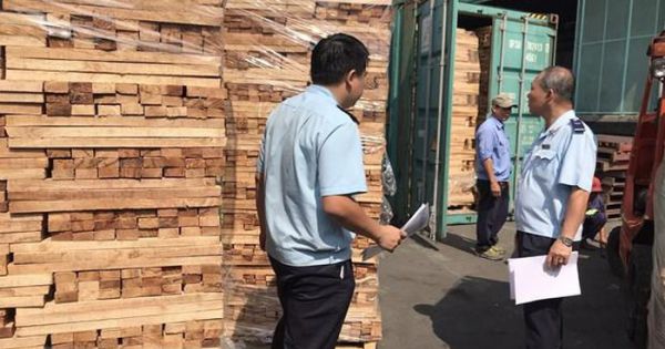 Thu Giữ Lô Hàng Gỗ Xẻ Trốn Thuế Trị Giá 11 Tỷ Đồng Ở TP.HCM