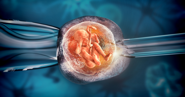 Thụ tinh từ phôi đông lạnh làm tăng nguy cơ ung thư cho trẻ