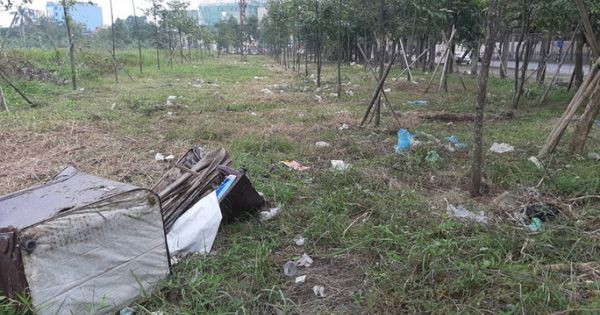 Cận cảnh khu “đất vàng” xây dựng trụ sở hành chính 2.200 tỉ đồng bỏ hoang, cỏ dại mọc um tùm