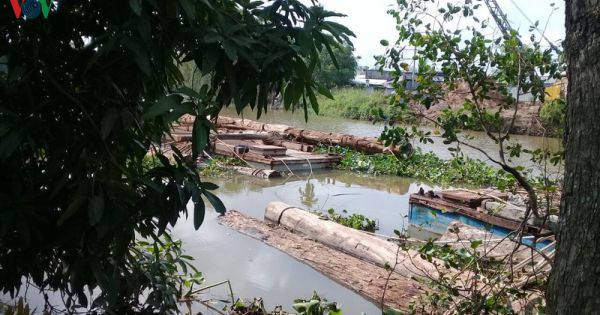 Đoàn xe “vua” chở gỗ lộng hành trên Quốc lộ 1A ở Tiền Giang