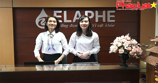 Doanh nghiệp vươn lên sau khủng hoảng