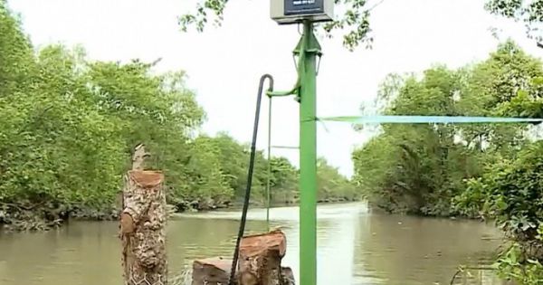 Nước mặn bất ngờ tấn công Vĩnh Long