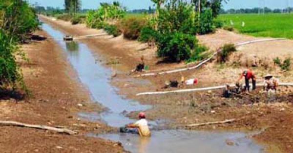 Bến Tre: Túi nhựa 'khủng' trữ nước ngọt mùa hạn mặn