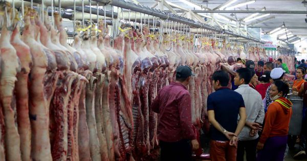 Giá thịt heo lập đỉnh