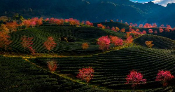 Sapa: Điểm đến hot nhất tháng 12 được giới trẻ yêu thích