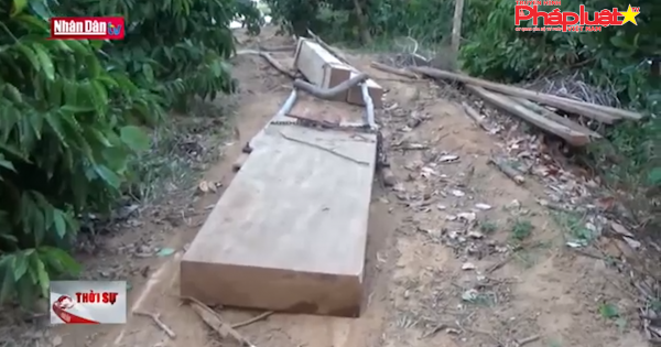 Khám nghiệm hiện trường vụ phá rừng quy mô lớn ở Đắk Lắk