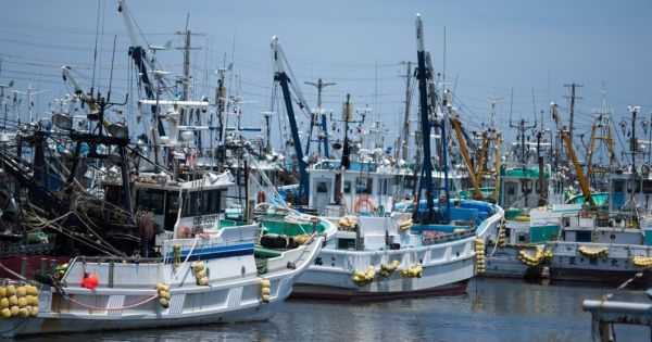 Nhật Bản yêu cầu Nga trả 5 tàu cá bị bắt giữ