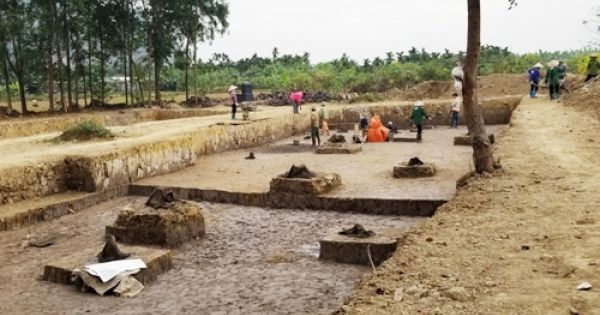 Phát hiện bãi cọc nhà Trần gần nghìn năm tuổi ở Hải Phòng