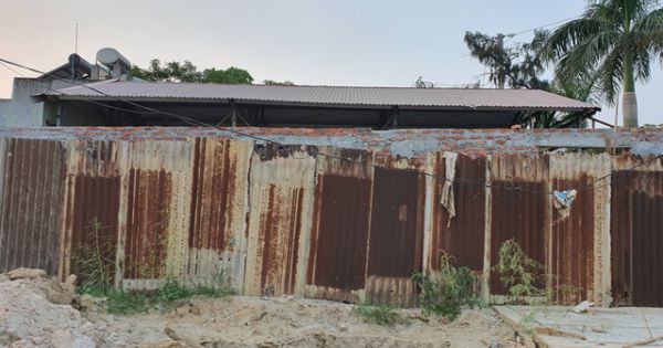 Hải Phòng yêu cầu 