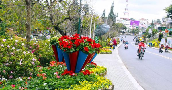 TP. Đà Lạt: Cấm một số tuyến đường trong thời gian diễn ra Festival Hoa