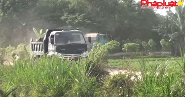 An Giang - Hàng loạt xe ben khai thác đất trái phép gây ô nhiễm môi trường