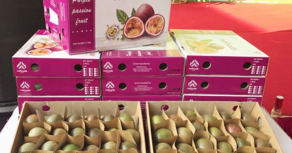 Nafoods Group lại bị phạt và truy thu hơn 1,2 tỷ đồng tiền thuế