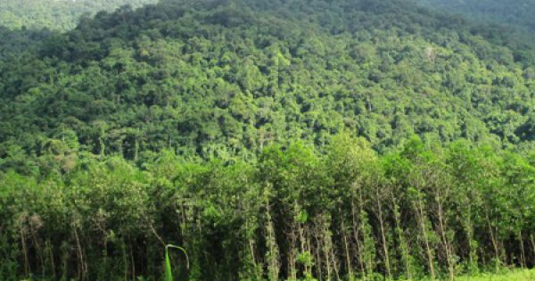 Góp ý sửa đổi chính sách đất đai để phát triển bền vững