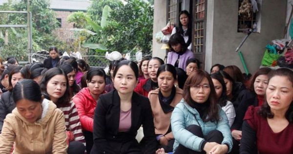 Sóc Sơn:Tạm dừng chấm dứt hợp đồng với giáo viên để chờ xét đặc cách