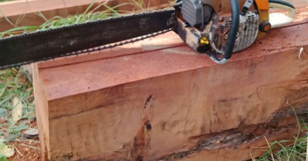 Lâm tặc liên tiếp chặt gỗ quý trong vườn quốc gia Yók Đôn