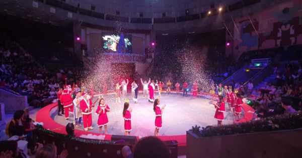 Hơn 1.300 người đã tham gia lễ hội “Cây thông Năm mới”