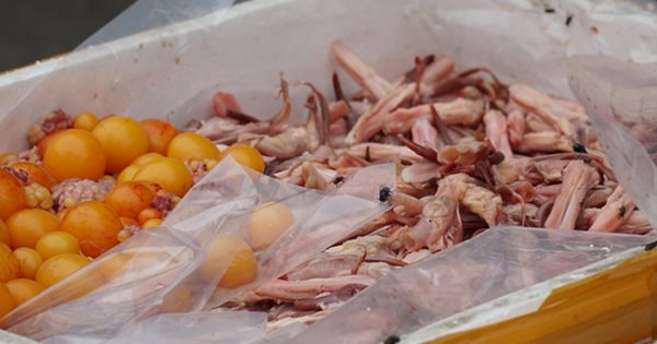 Phát hiện 2 xe container chứa thực phẩm không rõ nguồn gốc ở sân siêu thị