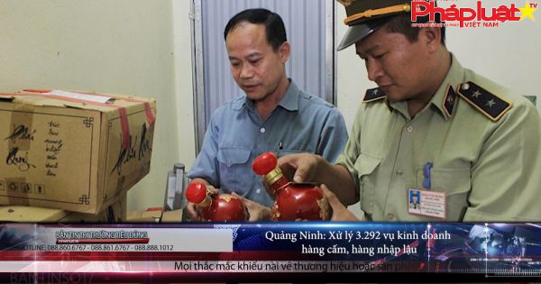 Bản tin thị trường tiêu dùng - Số 17(03/1)