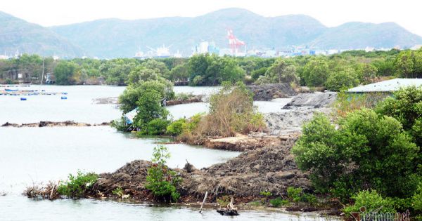 Điều chỉnh quy hoạch khu du lịch, biệt thự đầm Thị Nại