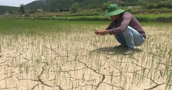 Phó Thủ tướng chỉ đạo chống hạn, mặn tại miền Tây