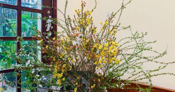 Hoa lạ từ Trung Quốc đắt khách