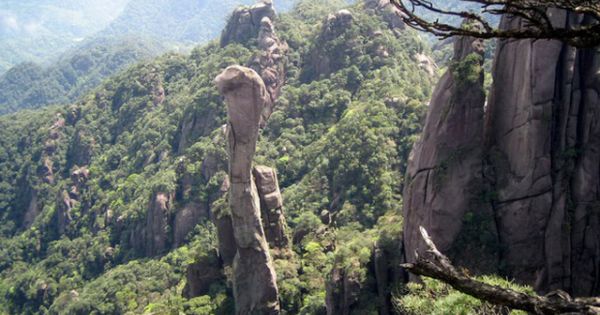 Ý thức kém, du khách trả giá đắt bằng án phạt tù và bồi thường 20 tỷ đồng