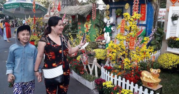 Đường hoa đặc biệt trong Bệnh viện Chợ Rẫy