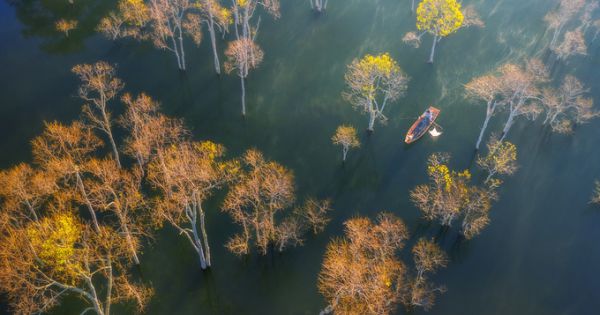 Ngày mới trên hồ Tuyền Lâm