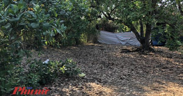 Công an Bình Phước điều tra vụ thi thể bé gái sơ sinh bỏ trong bao tải giữa vườn điều