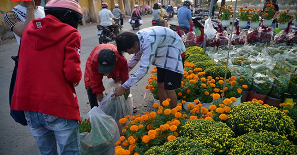Nhộn nhịp chợ hoa Tết “trên bến dưới thuyền” đầy sắc màu ở TPHCM