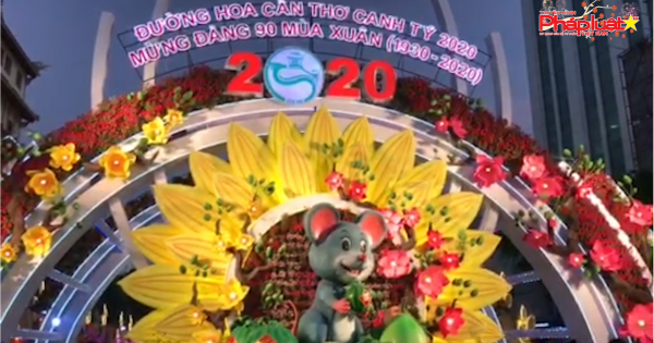 Lung linh đường hoa và đường đèn nghệ thuật Cần Thơ