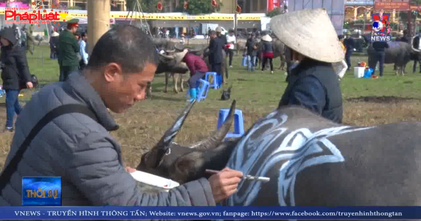 Độc đáo hội thi vẽ trang trí trâu lễ hội Tịch điền Đọi Sơn 2020