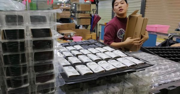 Cửa hàng điện thoại lo thiếu nguồn cung