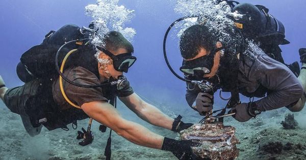 Dời lịch sửa 2 tuyến cáp biển