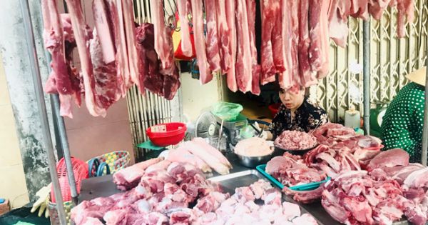 Giá heo hơi ngày 5.2: Miền Bắc và Nam bất ngờ tăng 4.000 đồng/kg