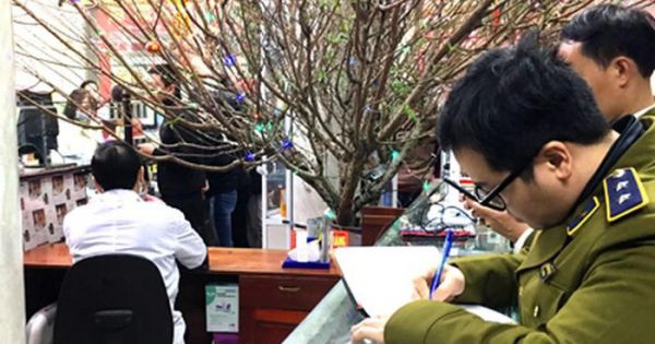 Ninh Bình: Quản lý chặt chẽ thị trường dược phẩm không để các hành vi trục lợi, gian lận thương mại