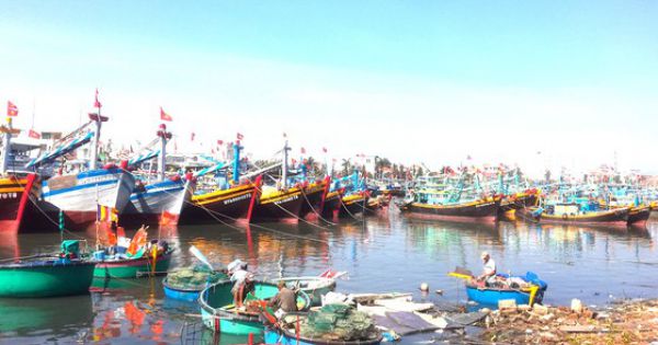 Tàu cá nằm bờ vì thiếu hụt lao động